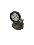 2 1/2" Cap Gauge w/ 0-300 Glycerin Filled Gauge & Bleeder Valve
