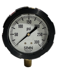 2.5" Glycerin Filled Gauge 0-300 psi